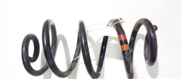Nissan Qashqai Rear coil spring