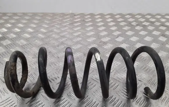 Peugeot 406 Rear coil spring