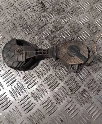 Citroen Berlingo Generator/alternator belt tensioner V759883280