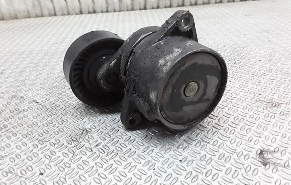 Mercedes-Benz ML W163 Generator/alternator belt tensioner