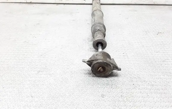Citroen C4 I Rear shock absorber/damper
