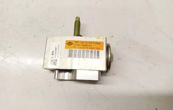 Ford Fiesta Air conditioning (A/C) expansion valve h1bh19849aa