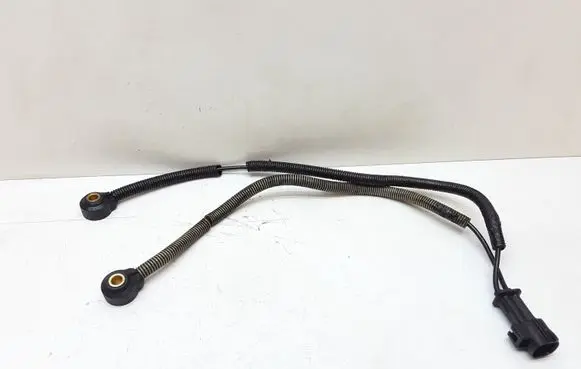 Volvo XC90 Detonation knock sensor 0251231142
