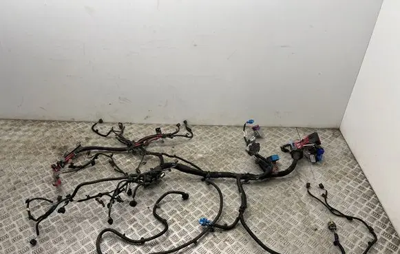 Renault Trafic III (X82) Engine installation wiring loom 240118124R