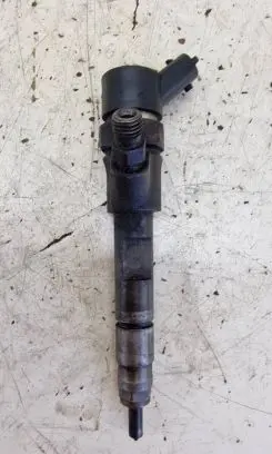 Renault Megane II Fuel injector 8200100272