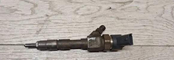 Renault Megane II Fuel injector 0445110021