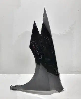 Renault Laguna III Fender 631018221R