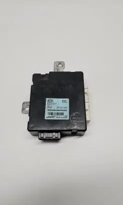 KIA Sorento Other control units/modules
