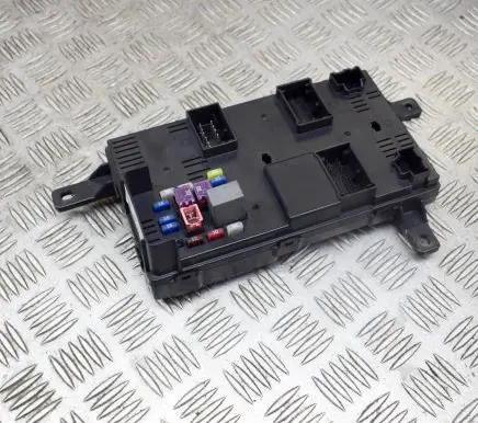 KIA Carnival Fuse module 919584D080