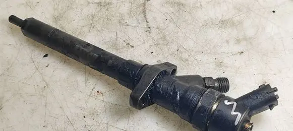 Peugeot 607 Fuel injector 9637277980
