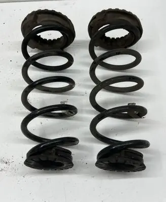 Rear coil spring