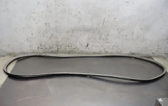 Infiniti M Rubber seal front coupe door 
