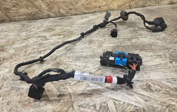 Bentley Flying Spur Rear door wiring loom 3W5971693A