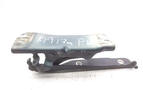 KIA Optima Engine bonnet/hood hinges