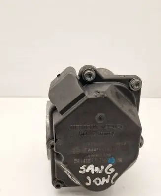 SsangYong Kyron Throttle body valve A6651410225 5WY9170B
