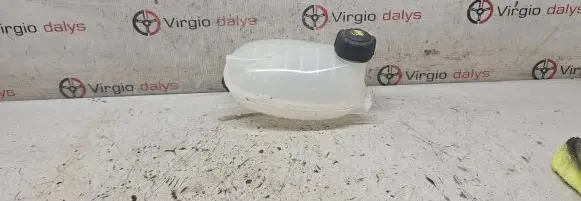 Renault Captur II Coolant expansion tank/reservoir 217102572R