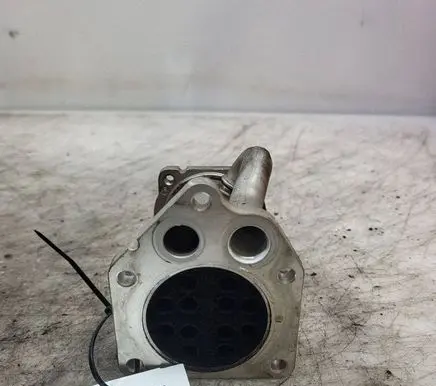 Nissan Qashqai EGR valve cooler 8200729079