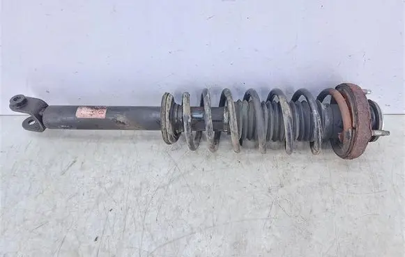 Chevrolet Epica Rear shock absorber with coil spring 96943788