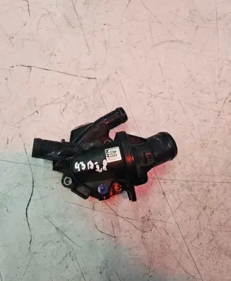 Renault Master III Thermostat 110604371R