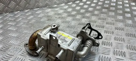 Toyota Urban Cruiser (XP110) EGR valve cooler