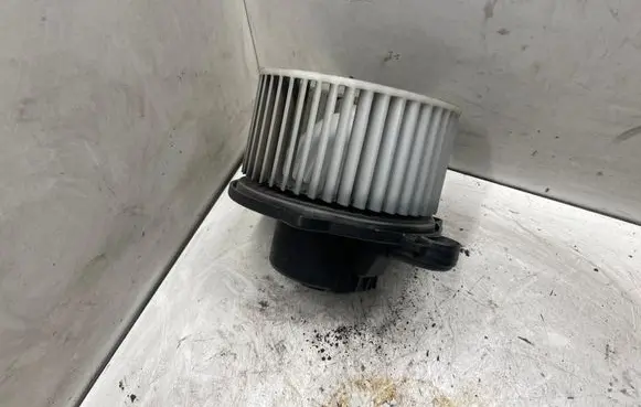 Hyundai Sonata Heater fan/blower F00S330025