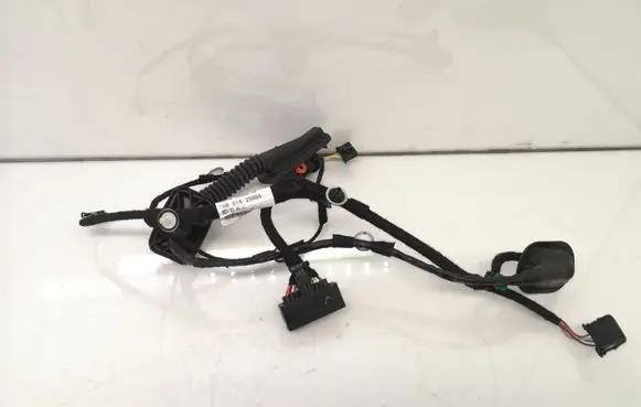 Rear door wiring loom