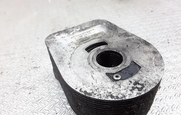Renault Megane II Oil filter mounting bracket 8200267937F
