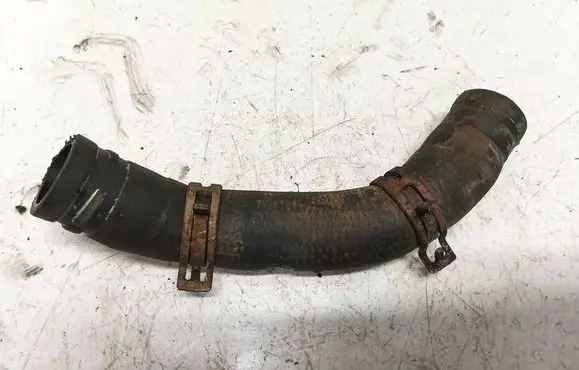 Citroen Berlingo Engine coolant pipe/hose
