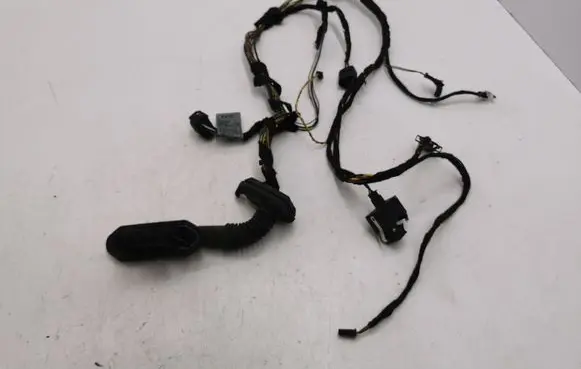 BMW X5 E53 Rear door wiring loom 6923513