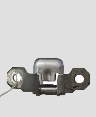 Renault Laguna III Front door lower hinge