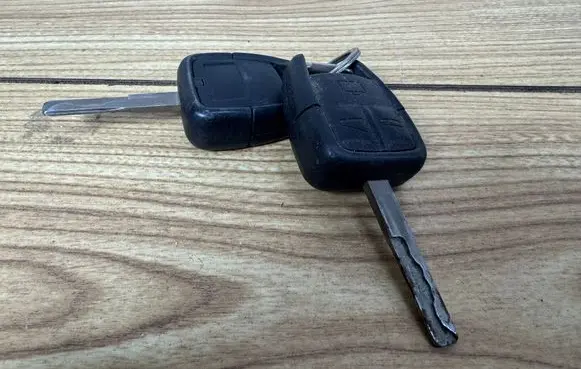 Opel Signum Ignition key/card 