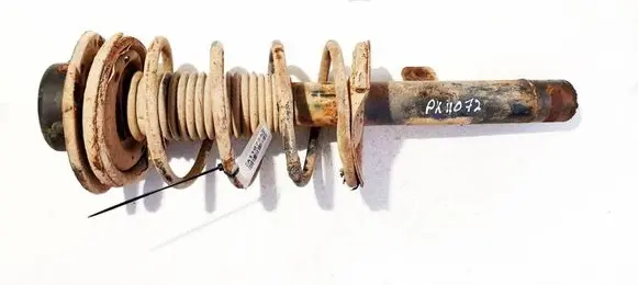 Peugeot 206 Front shock absorber/damper 