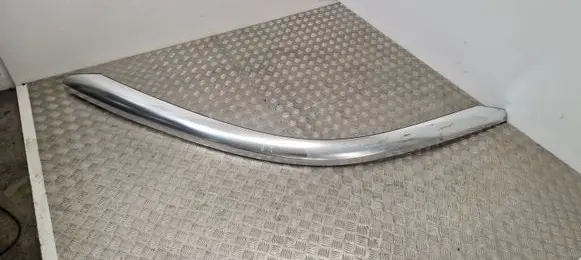 Peugeot RCZ Roof trim bar molding cover 