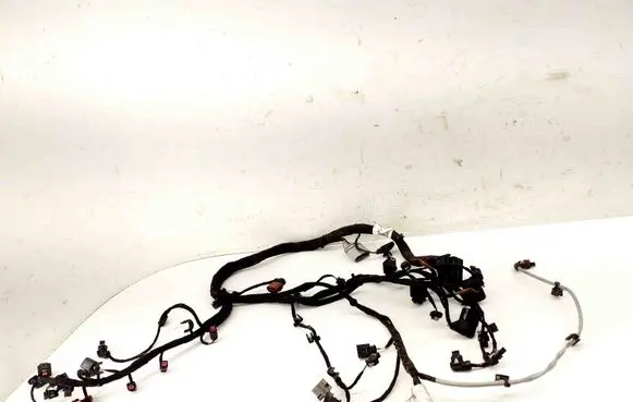 Engine installation wiring loom
