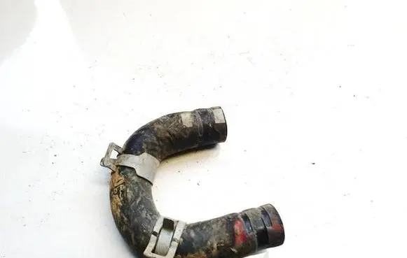 Hyundai Ioniq Engine coolant pipe/hose 298540036ds