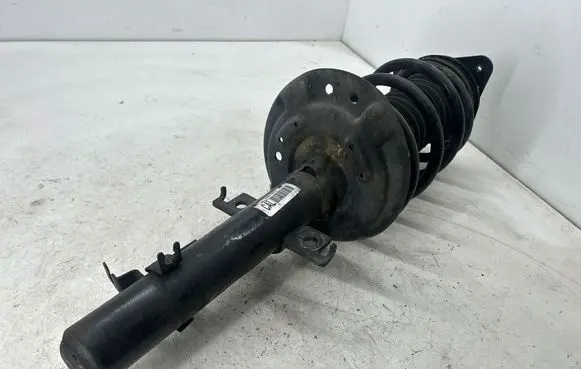 Nissan Rogue Front shock absorber with coil spring 543034BF1C