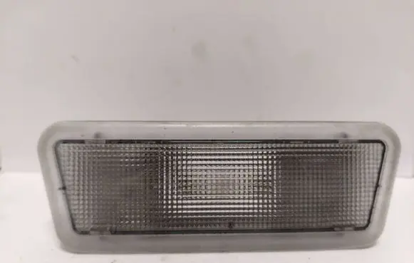 Rear seat light
