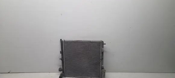 Peugeot 207 Coolant radiator 870960000