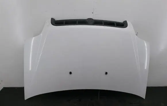Engine bonnet/hood