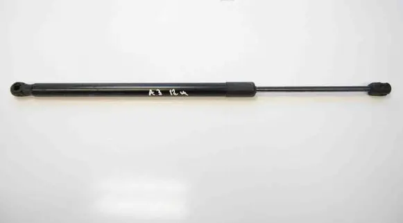 Tailgate/trunk strut/damper