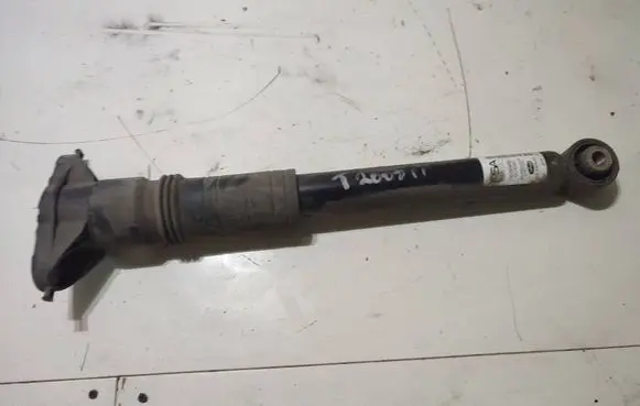 Rear shock absorber/damper
