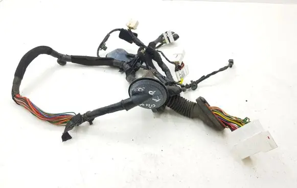Front door wiring loom