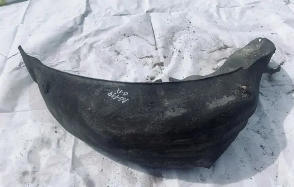 Ford Fiesta Rear arch fender liner splash guards