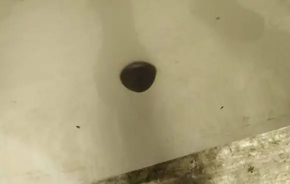 Windshield washer spray nozzle