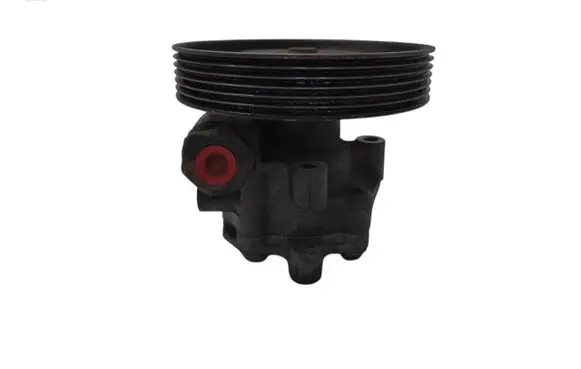 Ford Fusion Power steering pump 9637000880