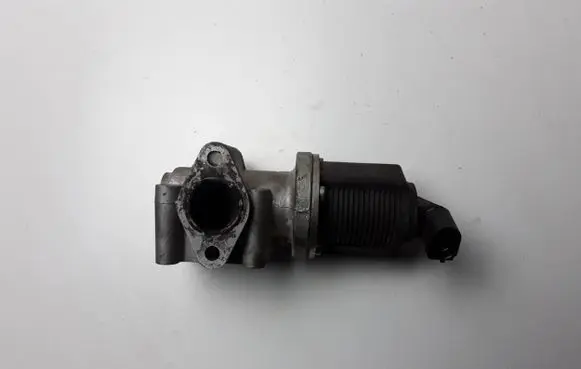 Opel Vectra C EGR valve 55215031