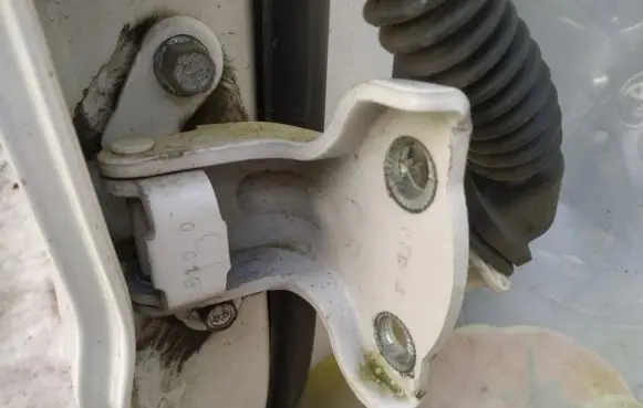 Opel Antara Rear door lower hinge
