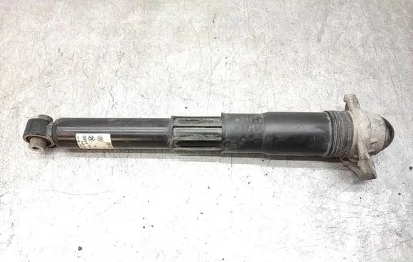 Volkswagen ID.4 Rear shock absorber/damper 1EA512013BD