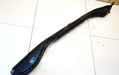 Wiper trim