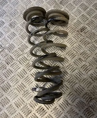 Volkswagen Golf Sportsvan Rear coil spring